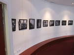 Photography exhibition Lyon library decay urbex