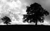 copyright Matthieu Ghandour