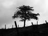 copyright Matthieu Ghandour