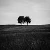 copyright Matthieu Ghandour