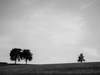 copyright Matthieu Ghandour